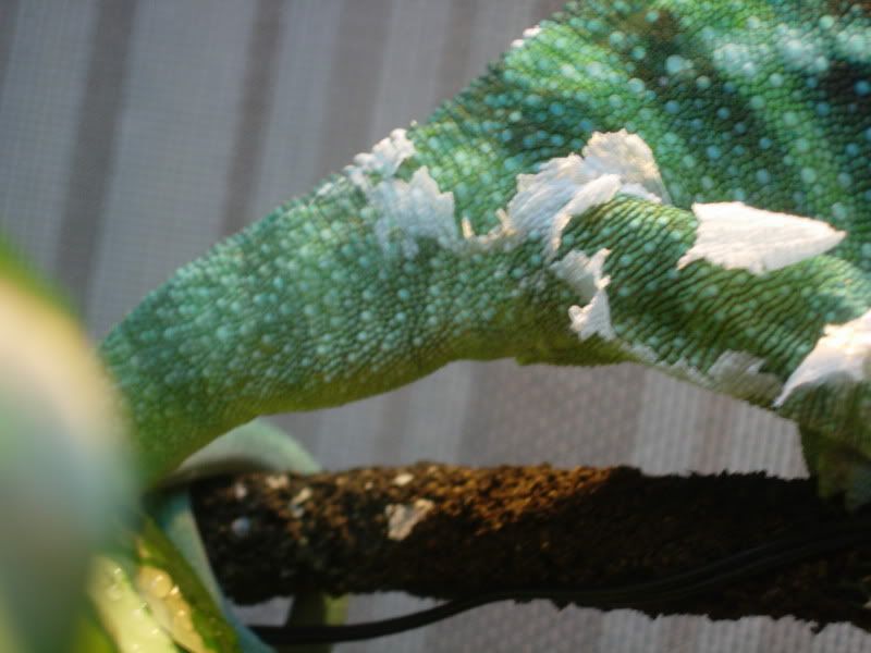 DSCN1538.jpg