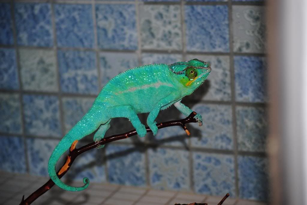 DSC_0499.jpg
