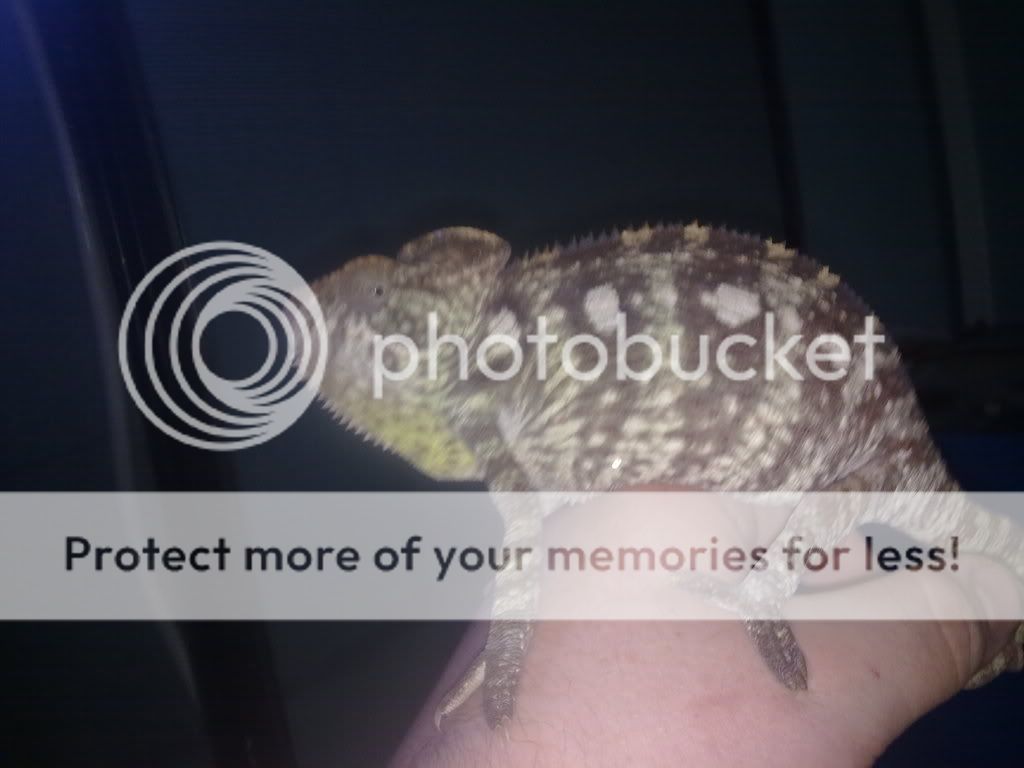 25072010128.jpg