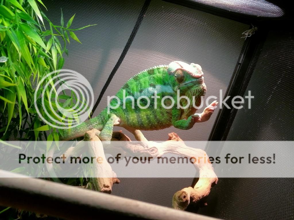 IMG_20141201_204439.jpg