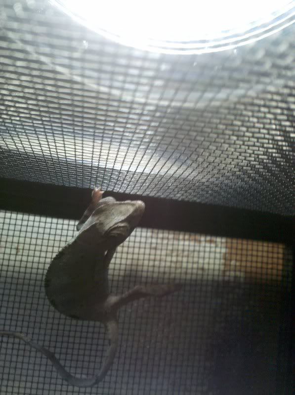 2010-07-18144904.jpg