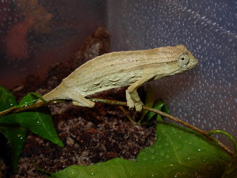 DSCN1530.jpg