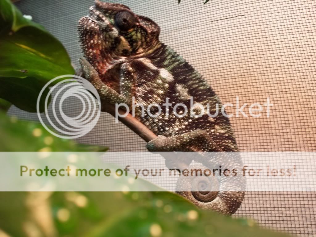 0f345bf9.jpg