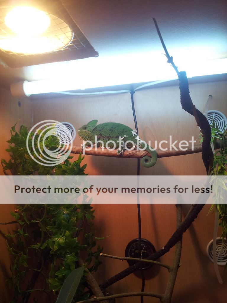 grantspics010.jpg
