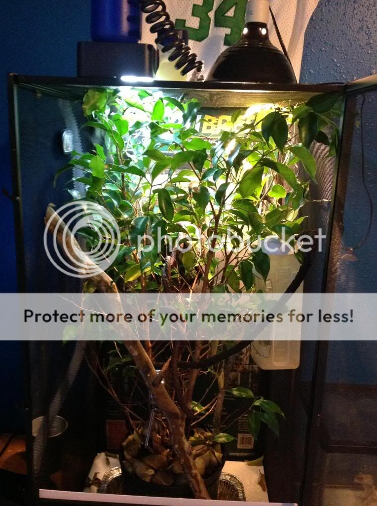 image_zps9e0e35ef.jpg