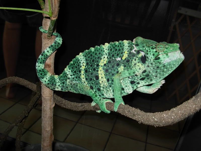 DSCN5324.jpg