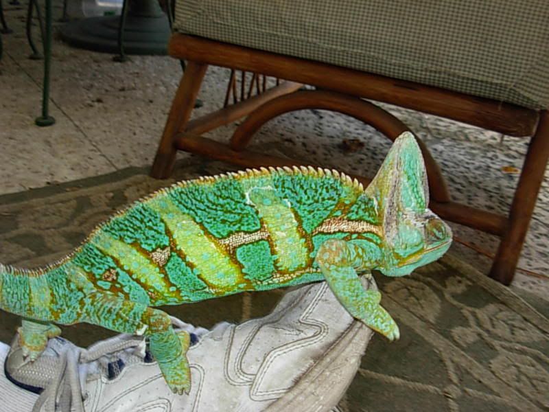 DSCN4559.jpg