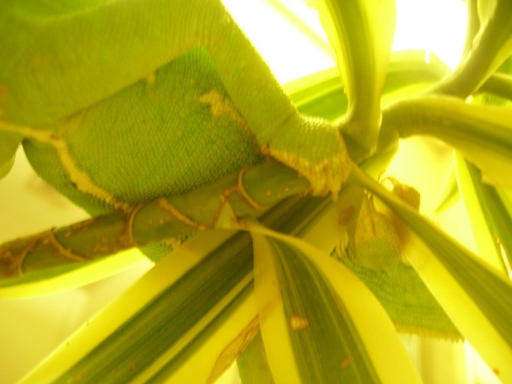 100_7125.jpg