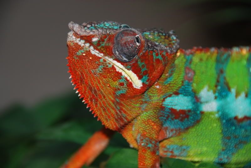 20070822071.jpg