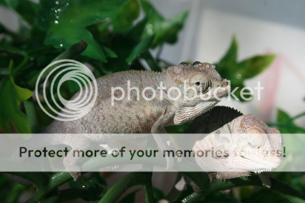 somepics016.jpg