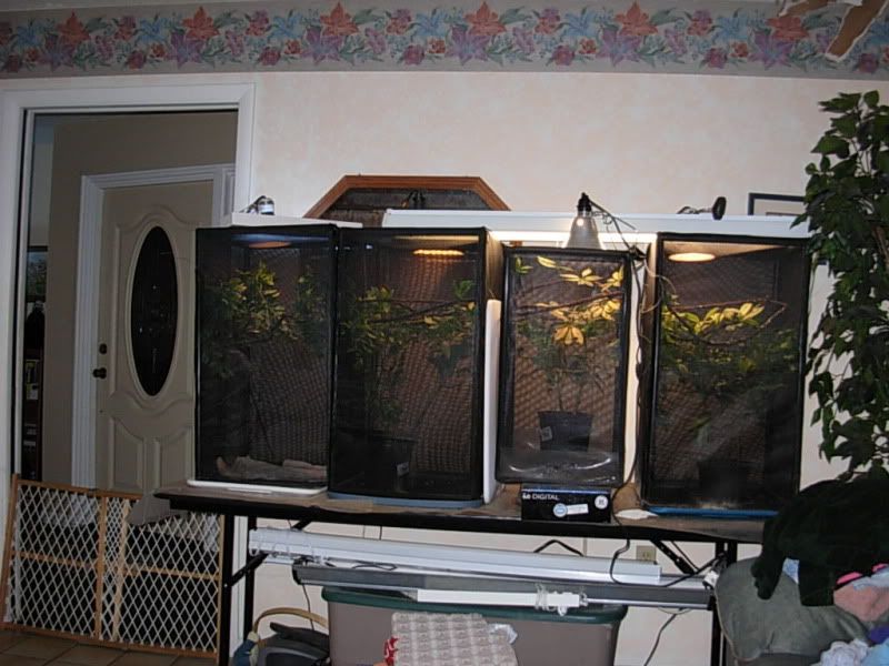 DSCN5977.jpg