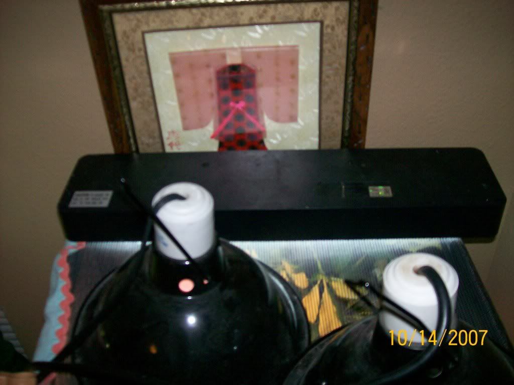 000_0003_00-2.jpg