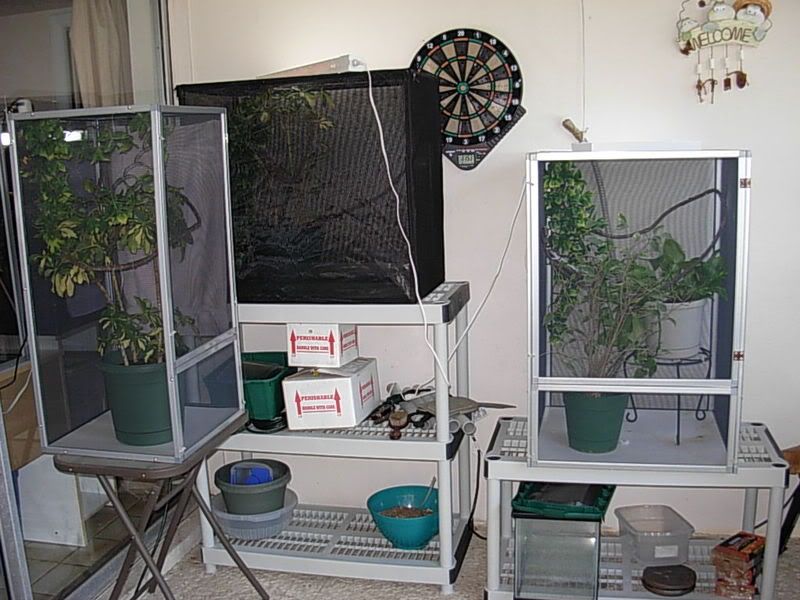 DSCN1366.jpg