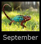 september.jpg