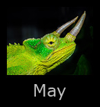 may.jpg