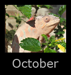 october.jpg