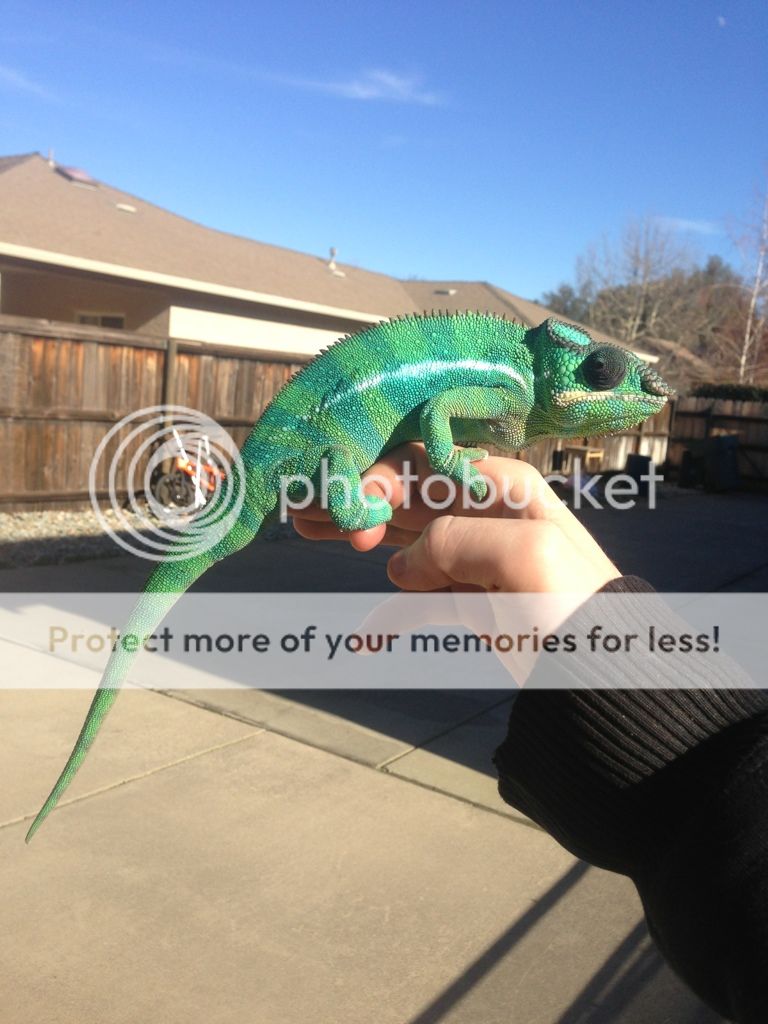 8F250AFB-2BCC-4123-90EC-98B0609EBEAF-6319-000004F01458217F.jpg