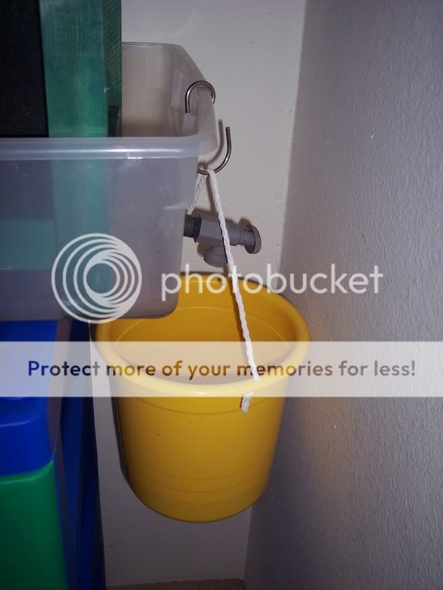 bucket.jpg