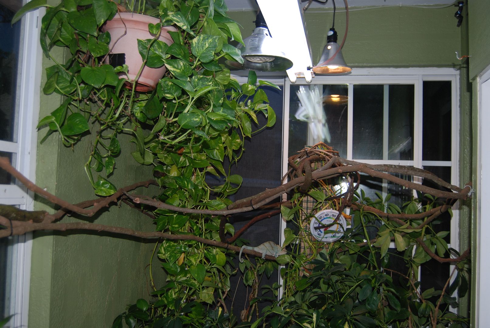 Coopersroom1214019_zps8d2823b9.jpg