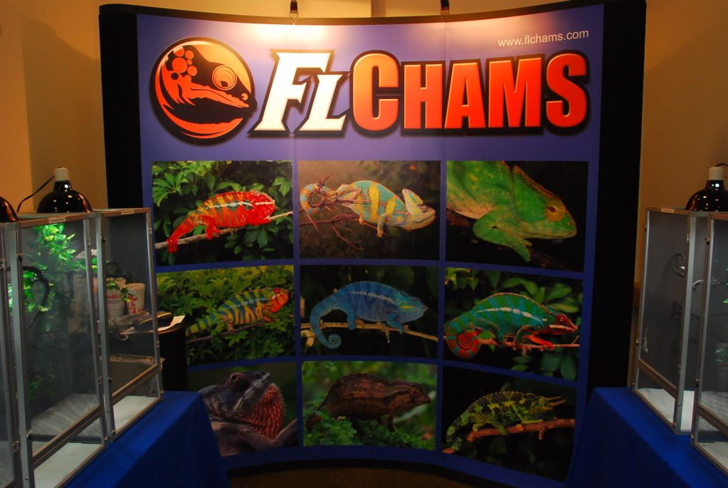 FIREreptileshow91711217.jpg