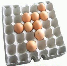 Egg_Tray-fruit_Tray-fruit_Packaging-pulp_Mold-egg_Box.jpg