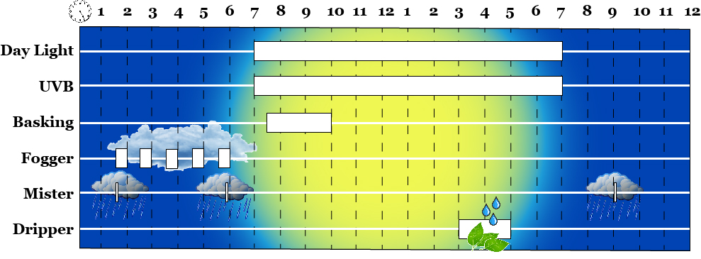 daily environmental cycle for a chameleon