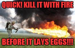 Image result for kill it with fire meme