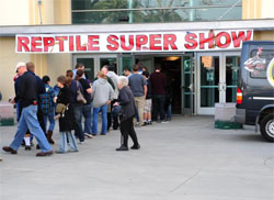 Reptile Show