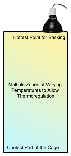 temperature gradient