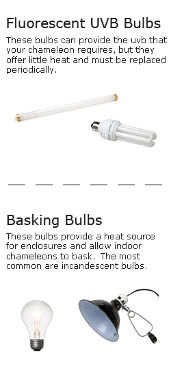 UVB vs Basking bulbs