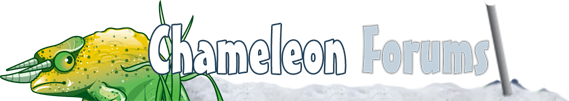 Chameleon Forums
