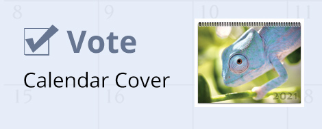 Vote Now - 2024 Calendar Cover