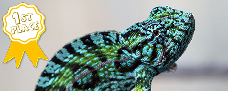 April 2025 Photo Contest Winner