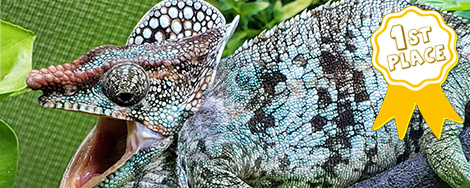 April 2025 Photo Contest Winner