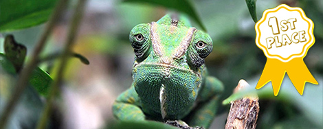 September 2025 Photo Contest Winner