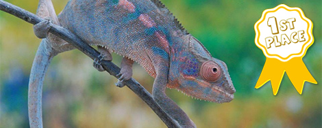 October 2025 Photo Contest Winner