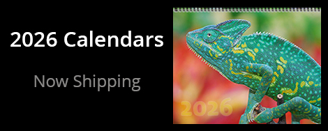 2026 Calendars Now Available