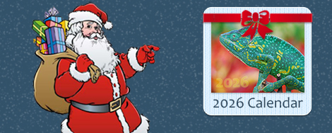 2026 Calendars Now Available