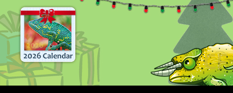 2026 Calendars Now Available