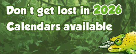 2026 Calendars Now Available