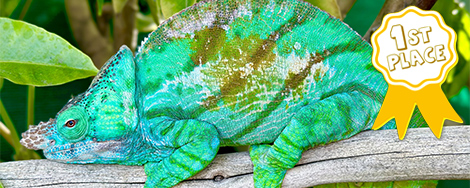 November 2025 Photo Contest Winner