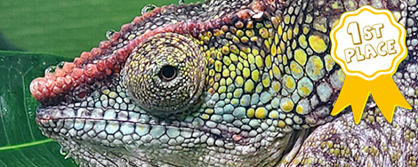 December 2025 Photo Contest Winner