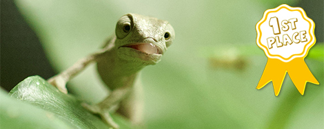 February 2026 Photo Contest Winner