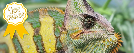 March 2026 Photo Contest Winner