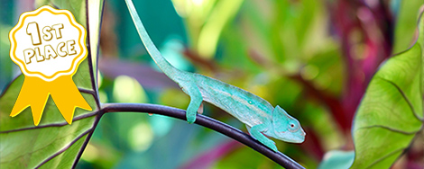 May 2026 Photo Contest Winner