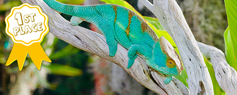 August 2026 Photo Contest Winner