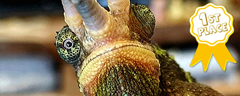 September 2026 Photo Contest Winner